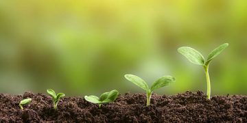 Growing Into Responsibility