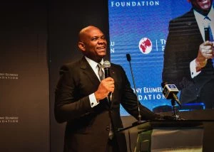 Now is Time to Invest in African SMEs, Elumelu Tells Global Investors