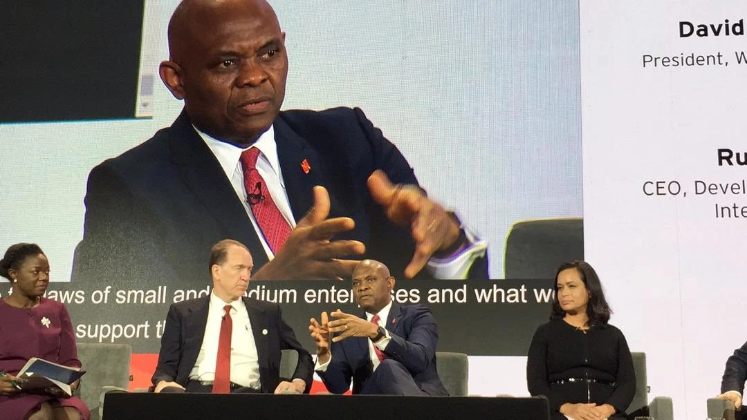 Tony Elumelu on a high level panel