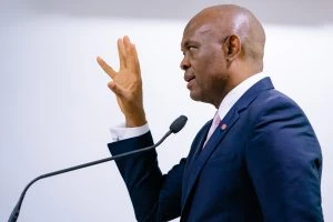 Africapitalismo é uma filosofia econômica atribuída ao Sr. Tony Elumelu, economista nigeriano e presidente da Heirs Holdings