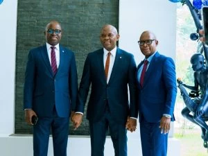 Democratising Insurance