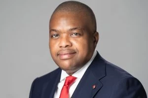Financial Services, Chiugo Ndubisi