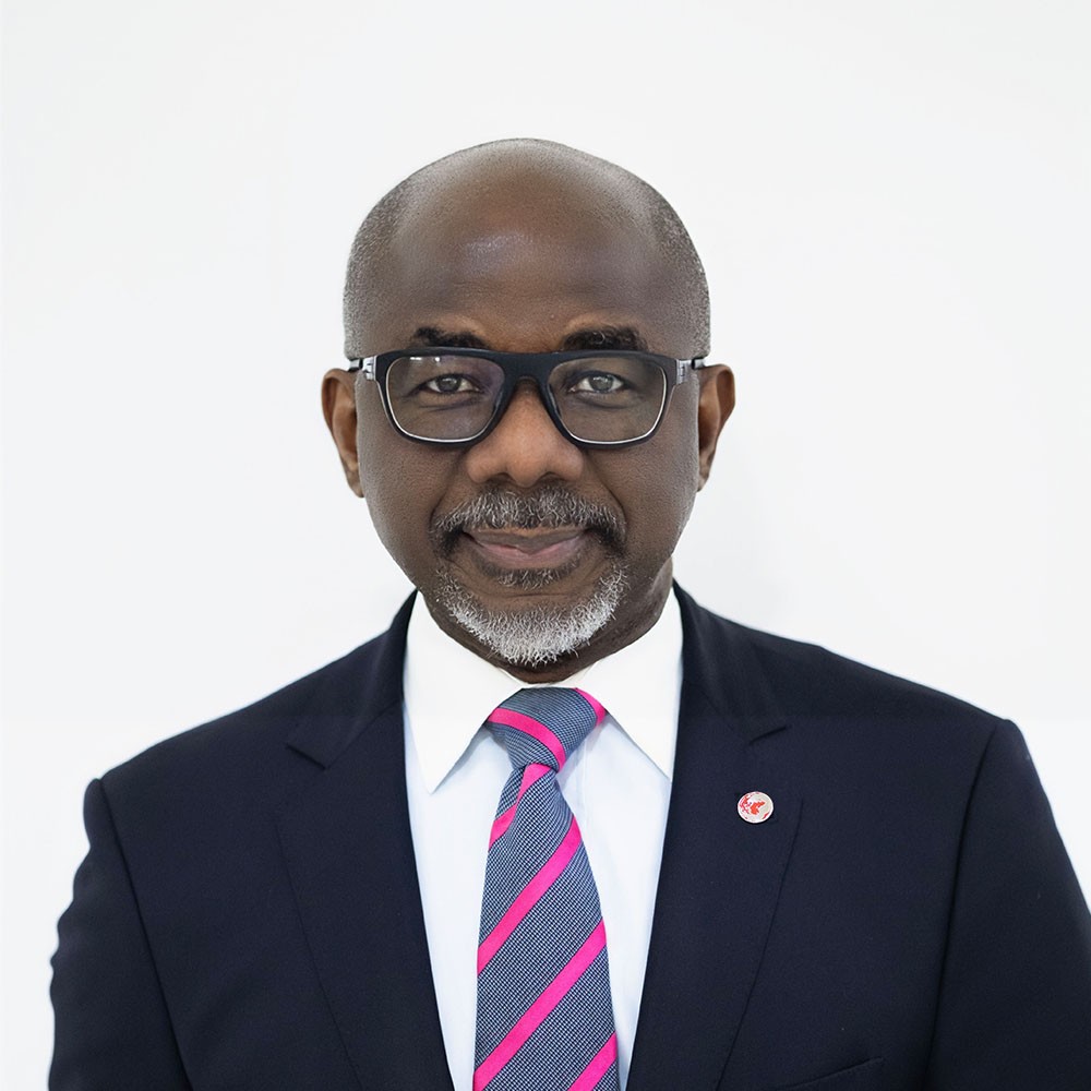 The Business of Better Health - Chidi Okpala