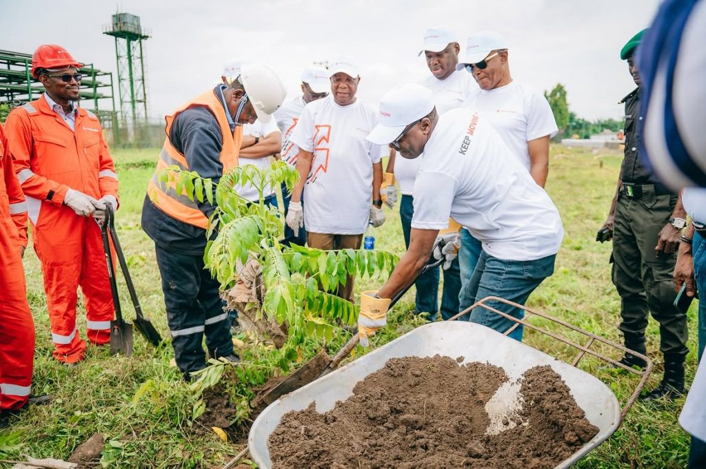 Environmental Sustainability