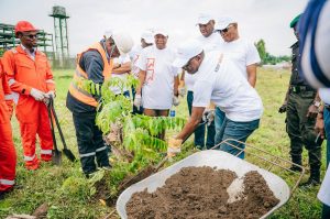 Environmental Sustainability