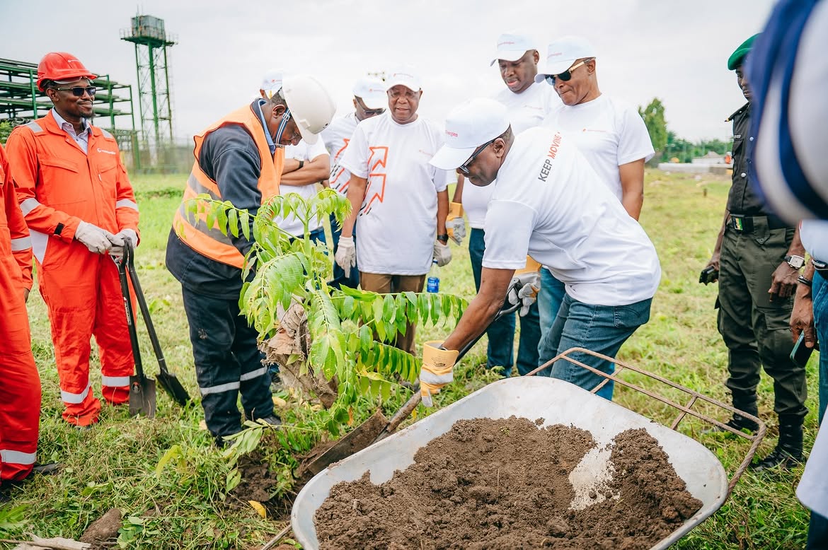 Environmental Sustainability